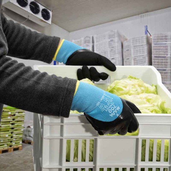 Mănuși protectie frig TEMP ICE 700 | Albastru